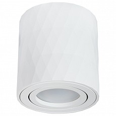Накладной светильник arte lamp fang...